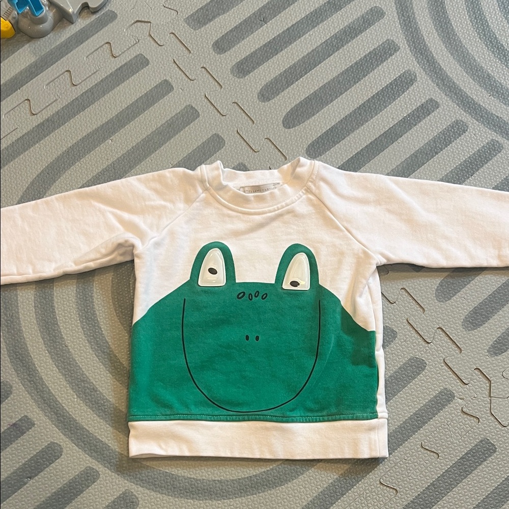 Stella McCartney Kids Green Frog Graphic Sweatshirt